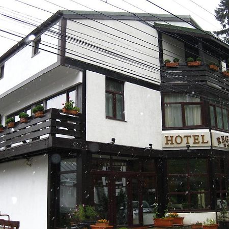 Hotel Regina Sinaia Ngoại thất bức ảnh